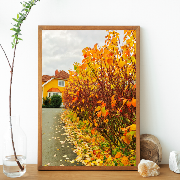 Norway - Autumn House Print