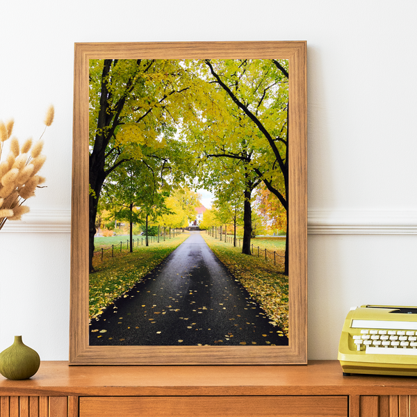 Norway - Autumn Forest Print