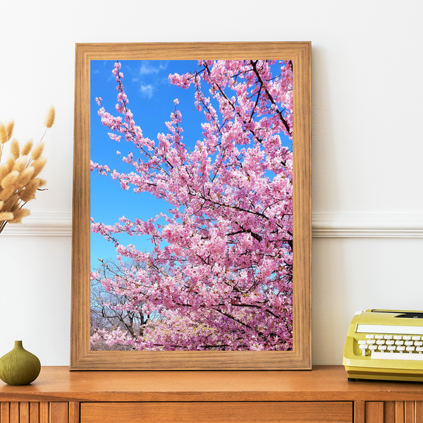 Japan - Cherry Blossom Print