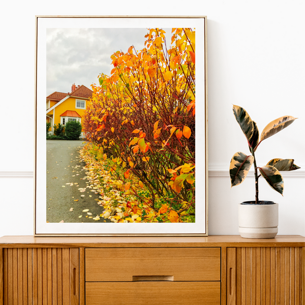 Norway - Autumn House Print