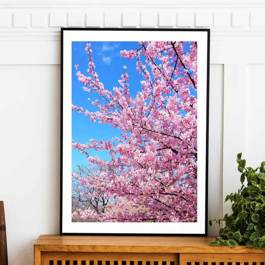 Japan - Cherry Blossom Print LushLiv