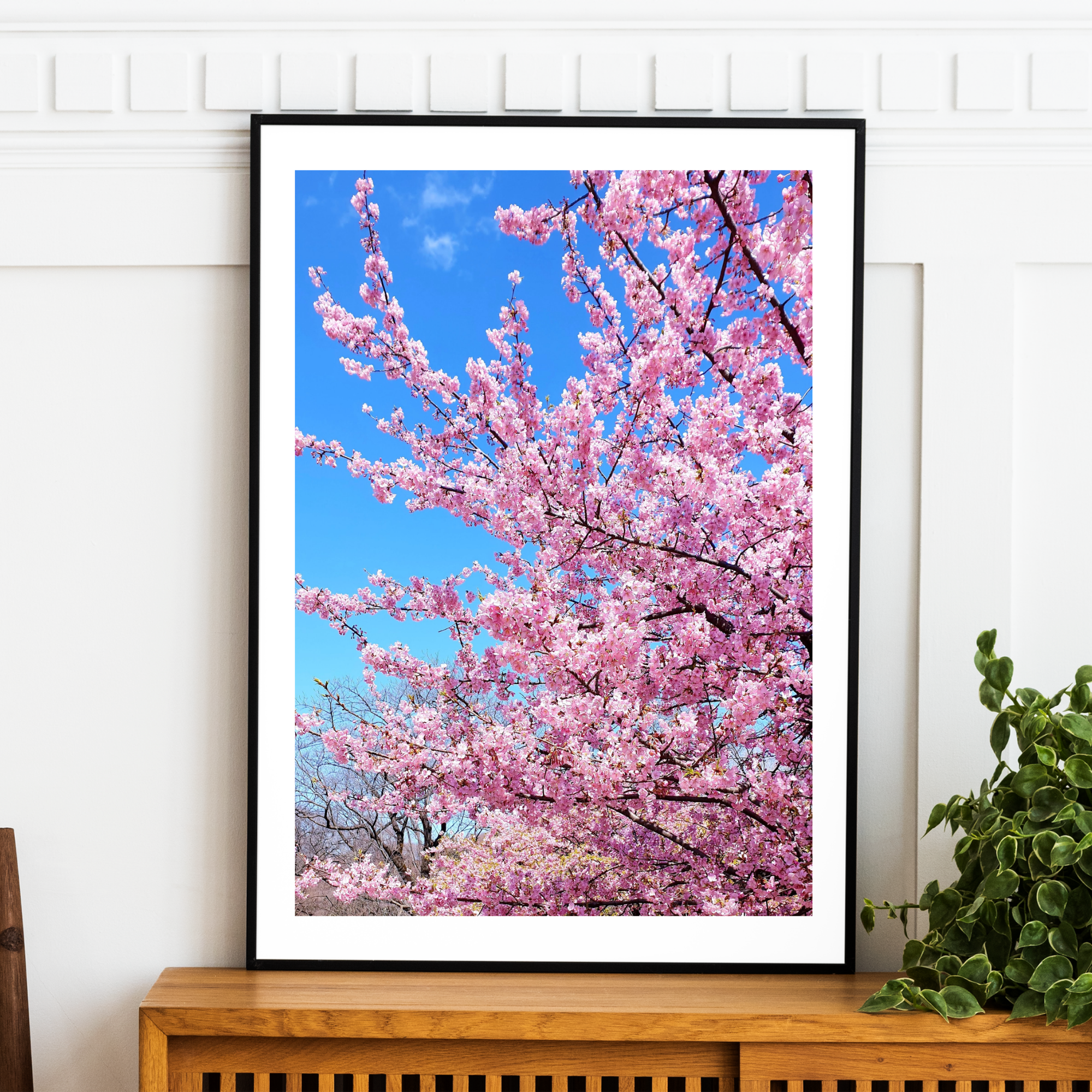 Japan - Cherry Blossom Print
