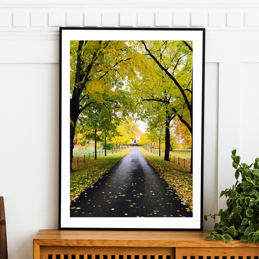 Norway - Autumn Forest Print LushLiv