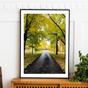 Norway - Autumn Forest Print