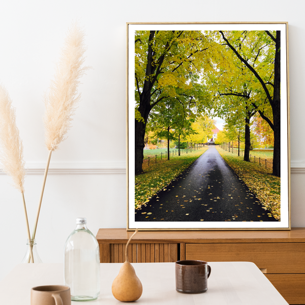 Norway - Autumn Forest Print