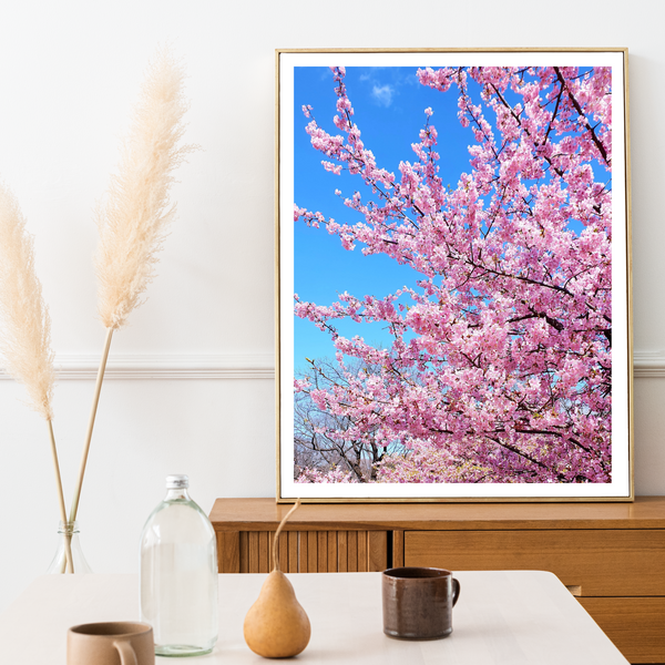 Japan - Cherry Blossom Print