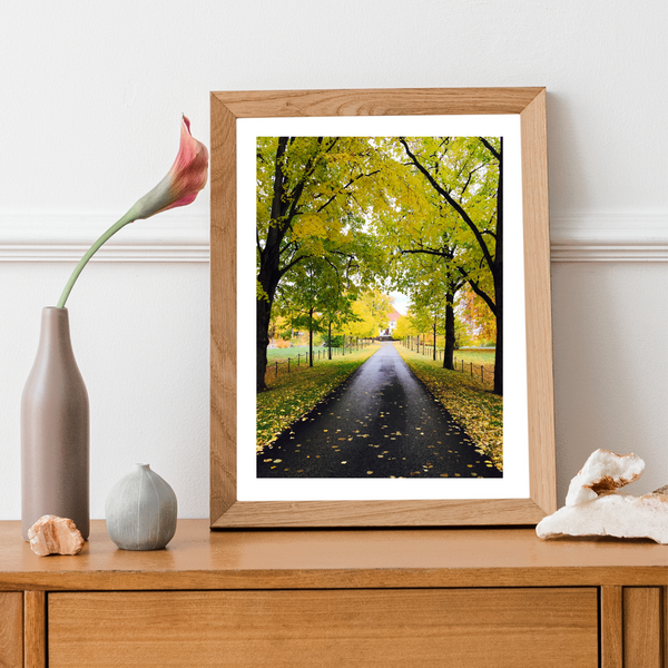 Norway - Autumn Forest Print
