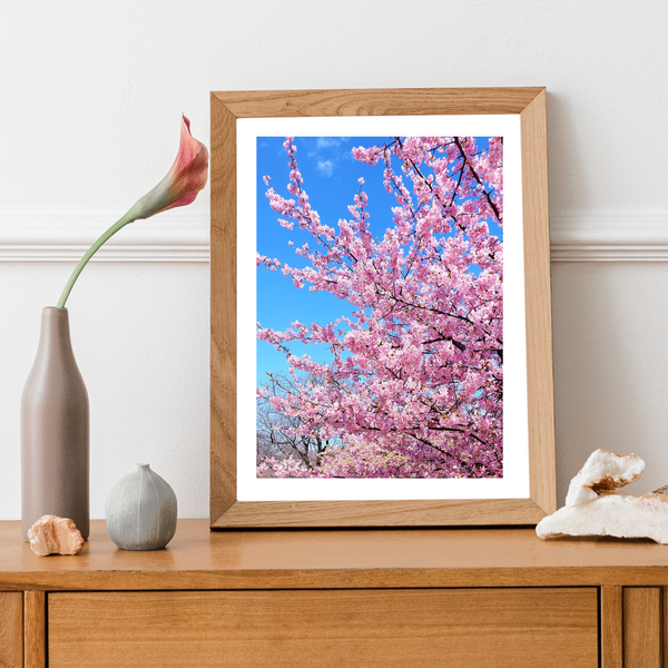 Japan - Cherry Blossom Print