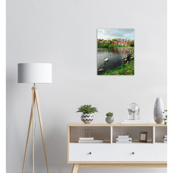 Norway - Swan in Lake Print