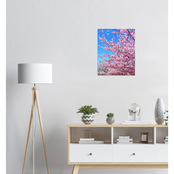 Japan - Cherry Blossom Print
