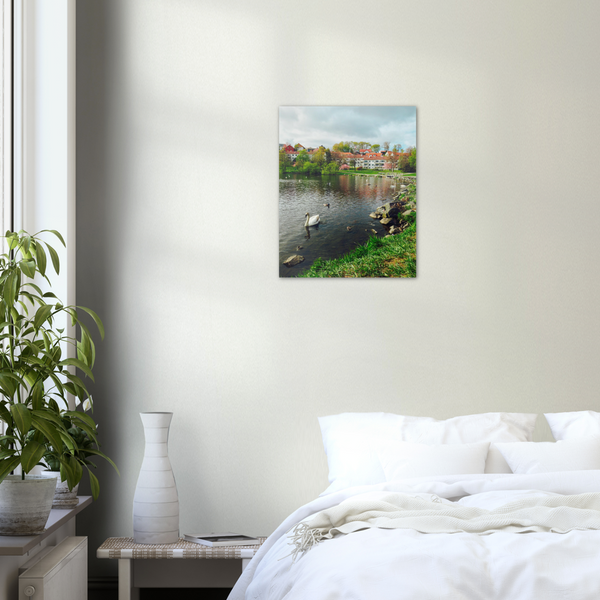 Norway - Swan in Lake Print